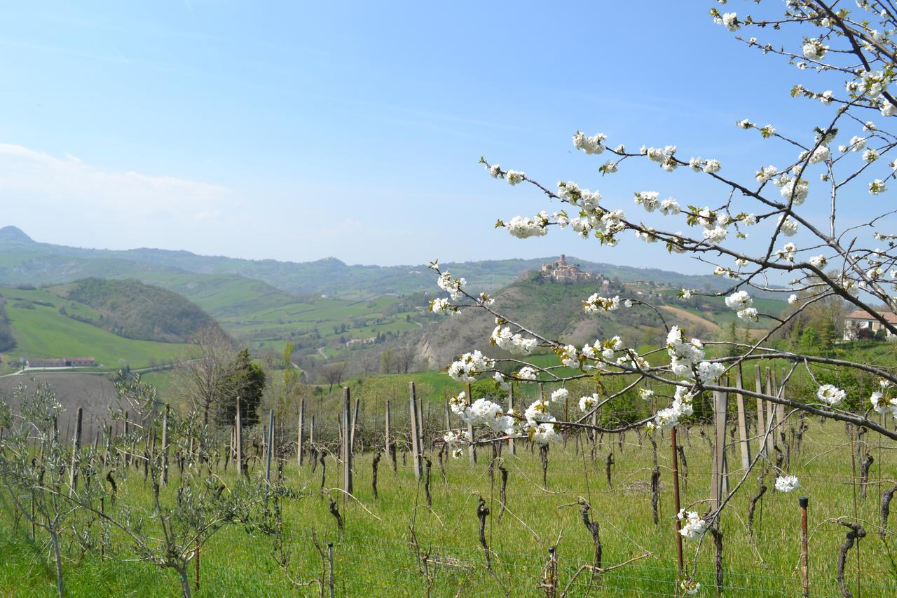 B&B Ca Biocco Sogliano al Rubicone Exterior photo
